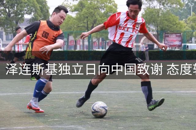 泽连斯基独立日向中国致谢 态度转变引关注